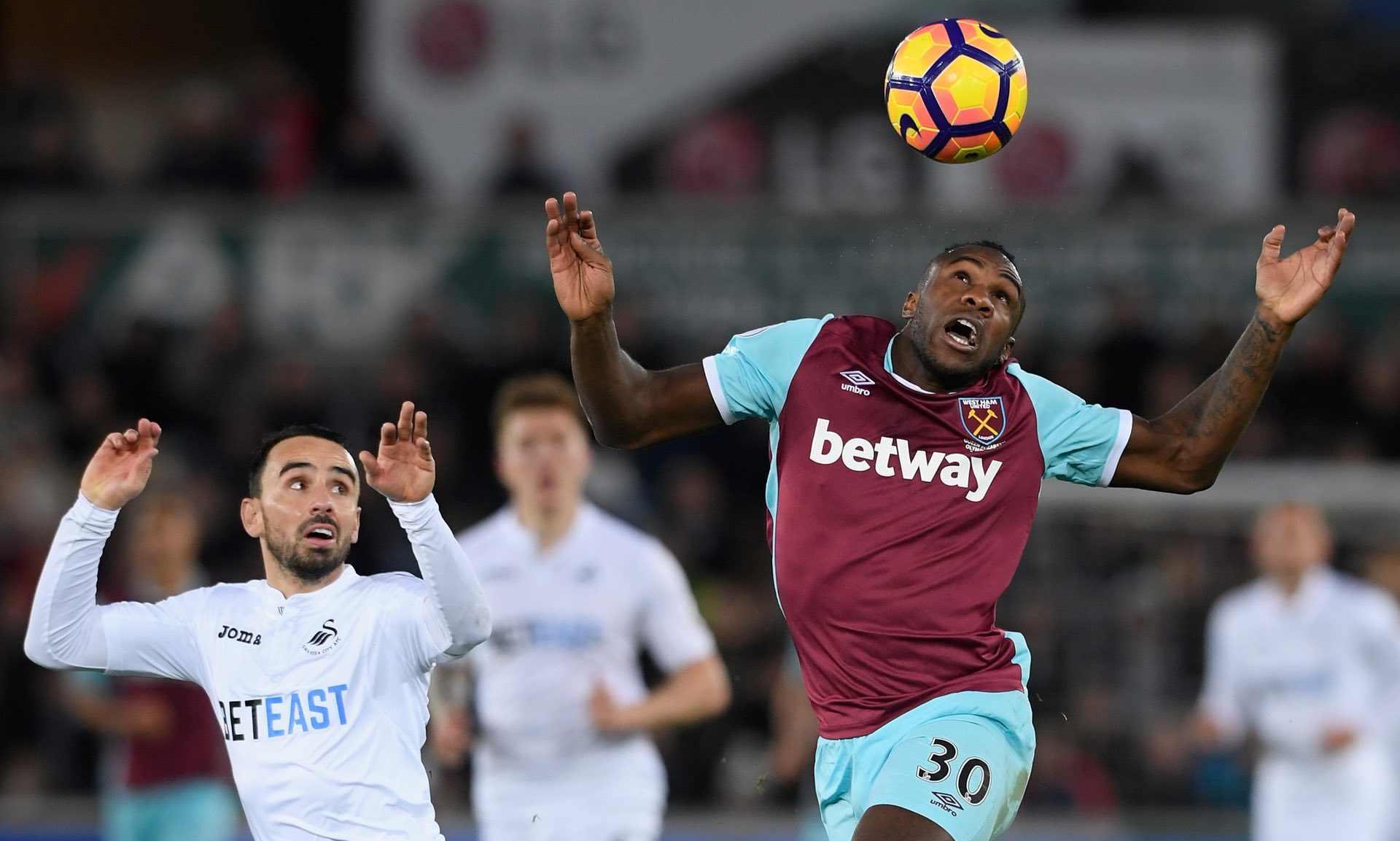 为车队赢得 为车队赢得