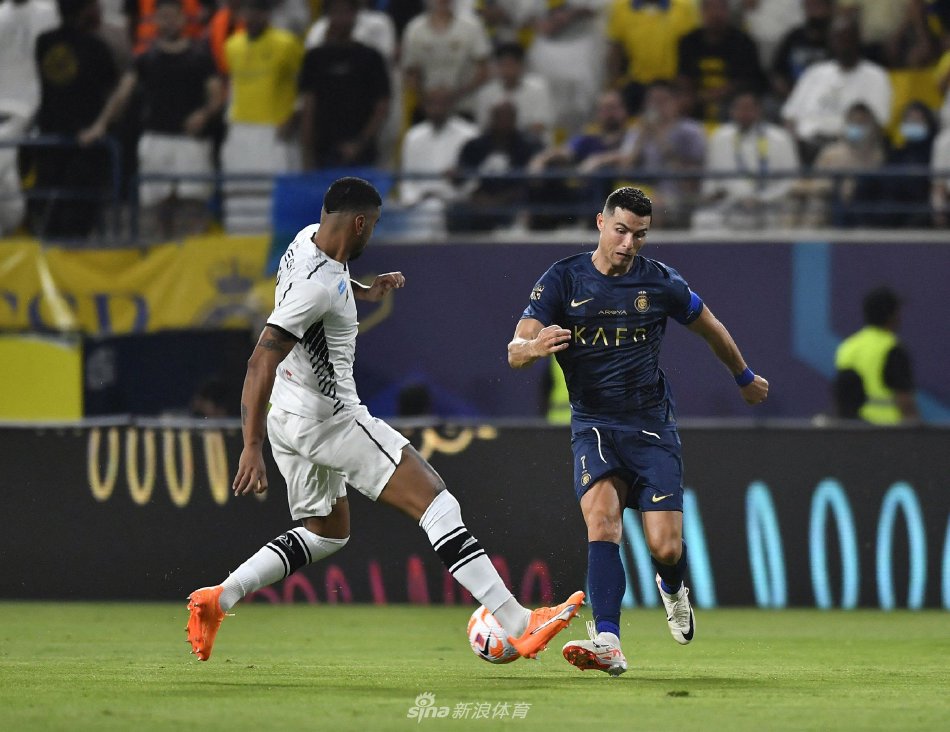 后的短切传 后的短切传